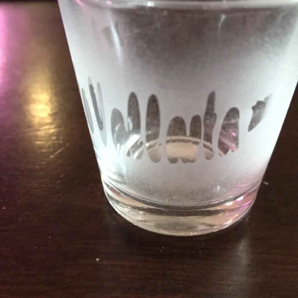 Puerto Vallarta Mexico Frosted Shot Souvenir Collector’s Glass